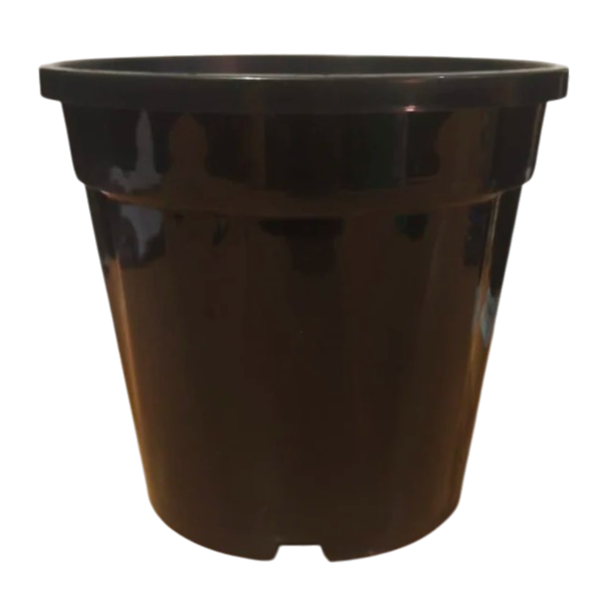 6 Inch Pune Nursery Pot